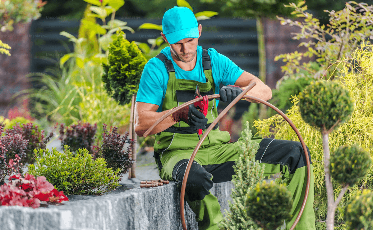 A man is working on irrigation in the garden