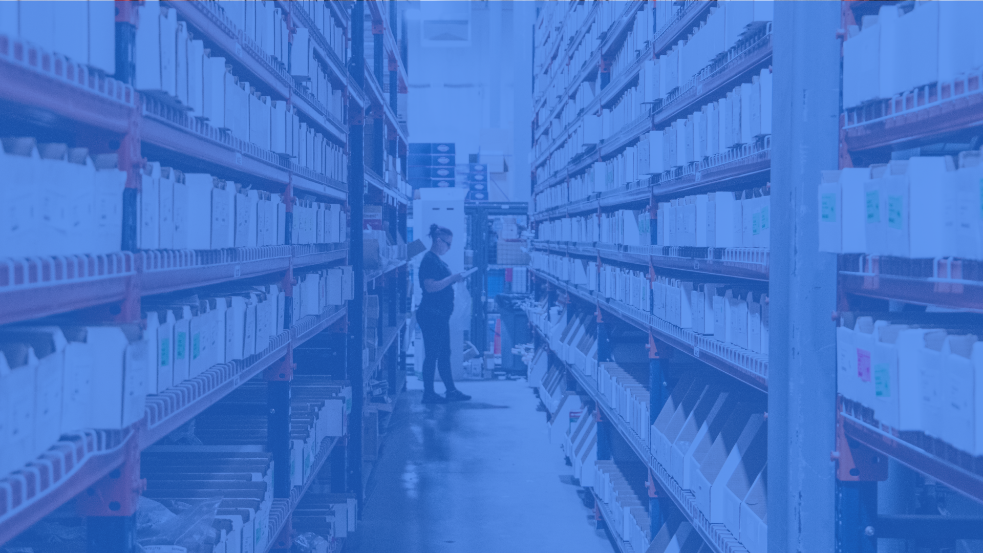 Plumbing Suppliers: How to Choose, What to Avoid & More