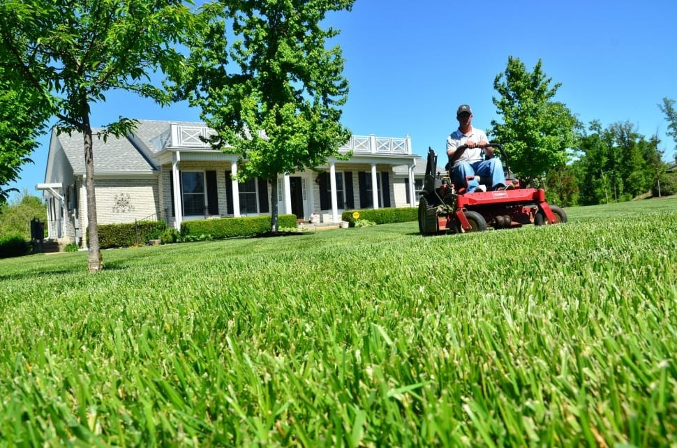 best-lawn-care-equipment-for-your-landscaping-business