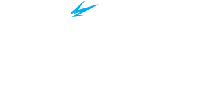 Logo | Torch Network