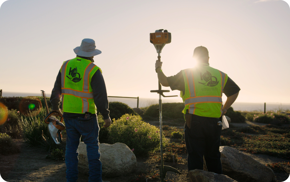 Product Illustration