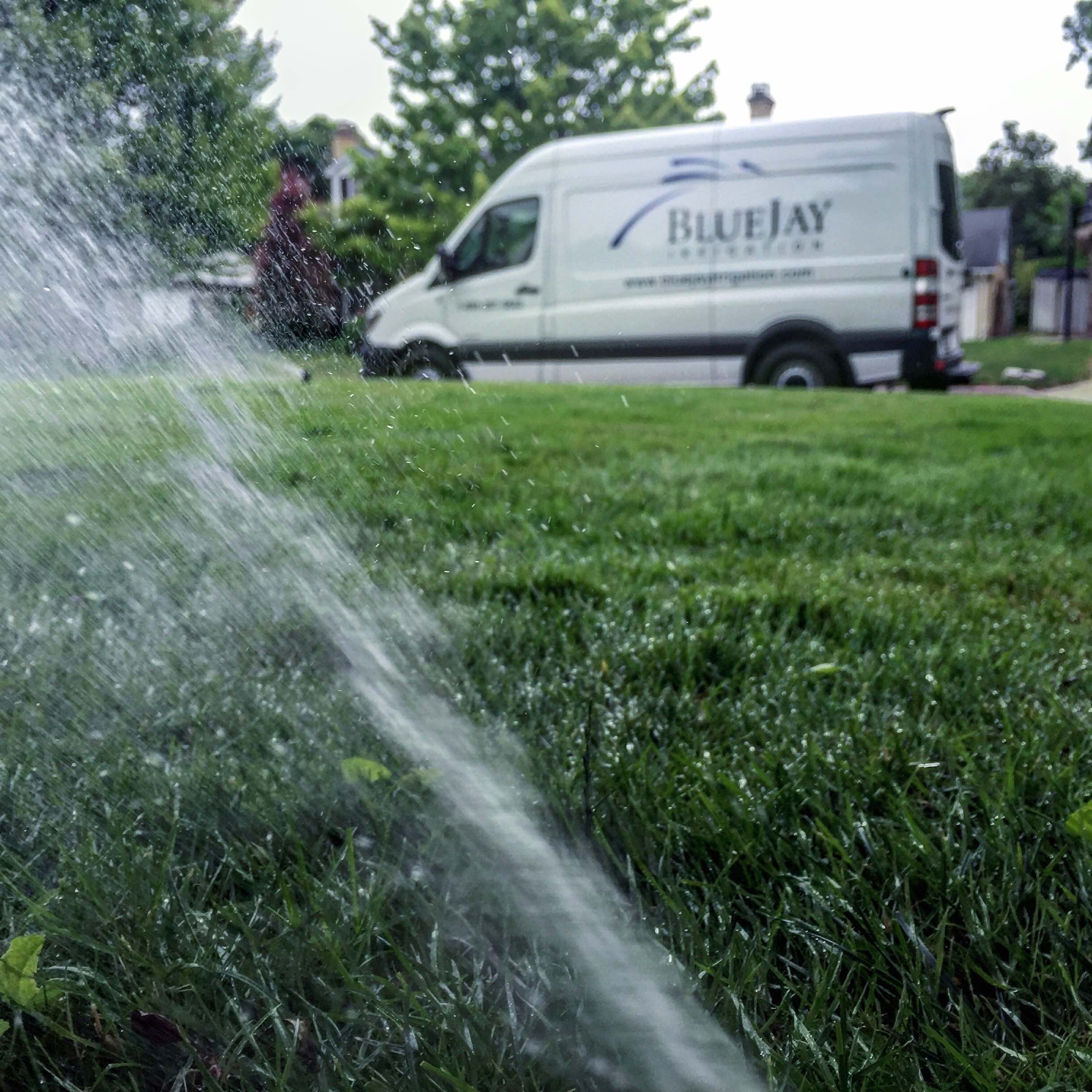 Blue Jay Irrigation Blog 2