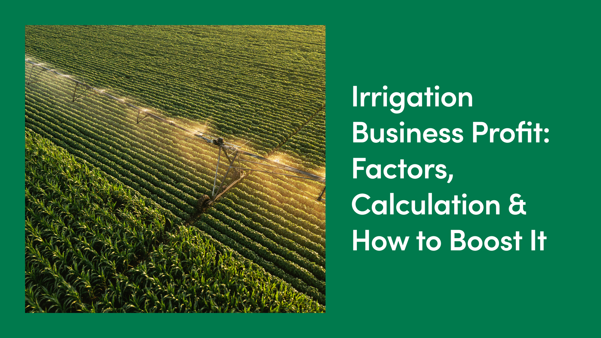 Irrigation Business Profit: Factors, Calculation & How to Boost It