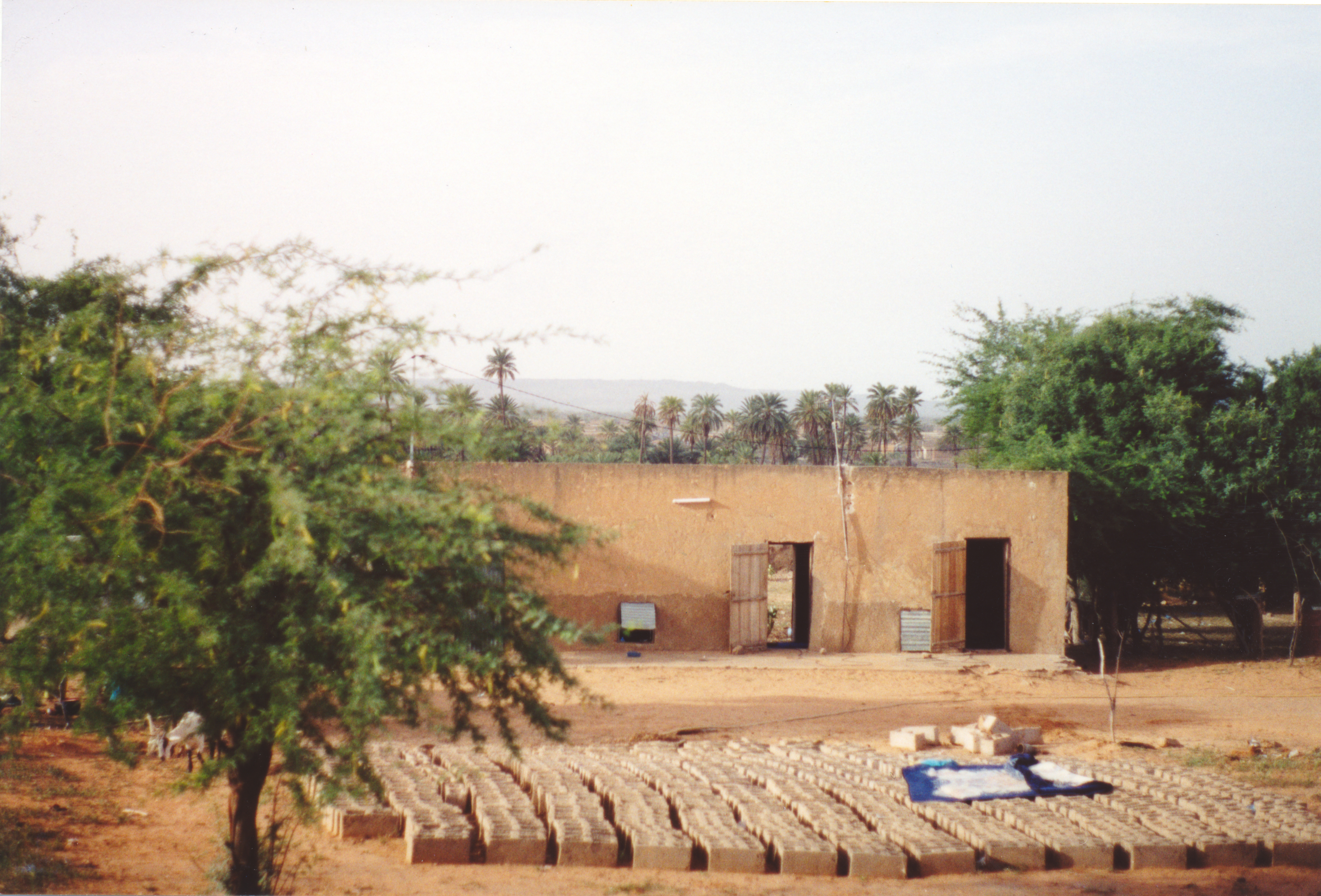 View of a mud-brick building in an arid landscape. In front are some small trees and rows of cinder blocks drying in the sun. Behind the building are some date palms. On the horizon, a small mountain or plateau.