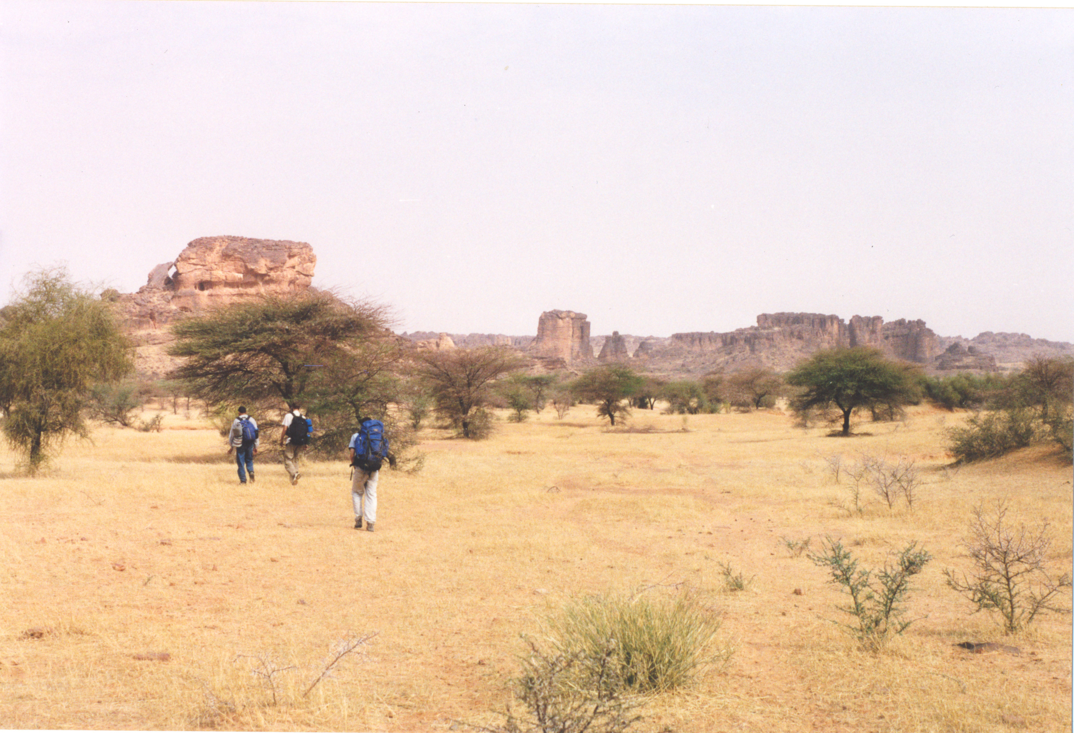Three men with hiking backpacks walk away from us through the semi-arid landscape. Small trees populate the mid-distance. Rock massifs and plateaus rise up in the background.