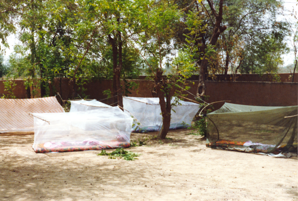 Mosquito nets set up between trees to cover foam mattresses set in the dirt outside.