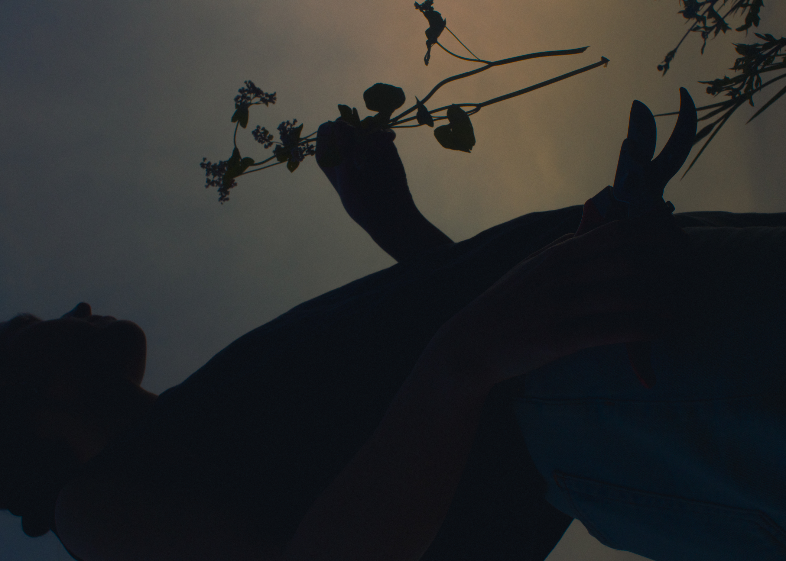 Evelyn Dragan Photography
