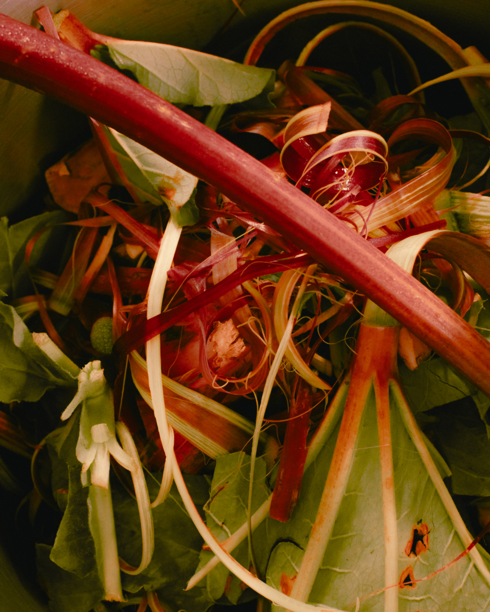 Evelyn Dragan Photography