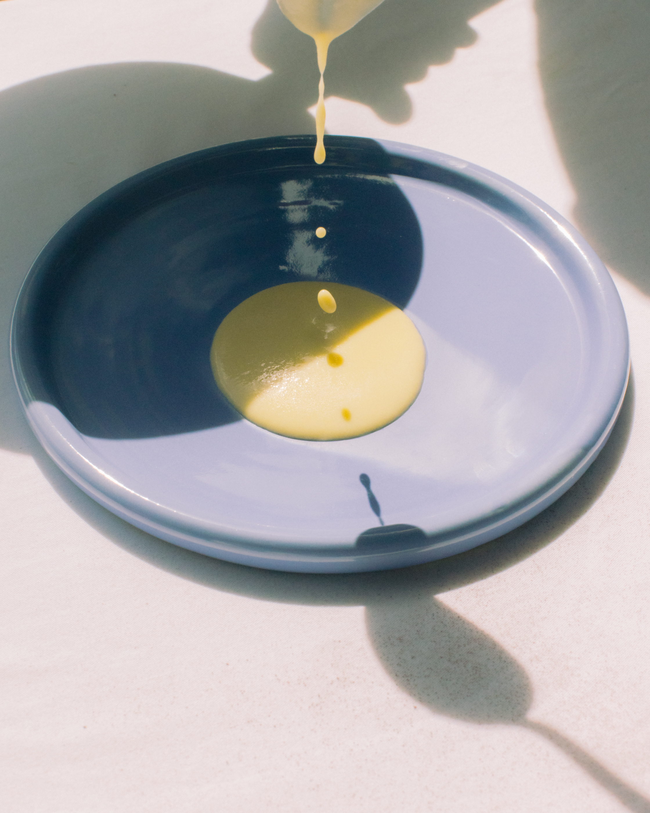 Evelyn Dragan Photography