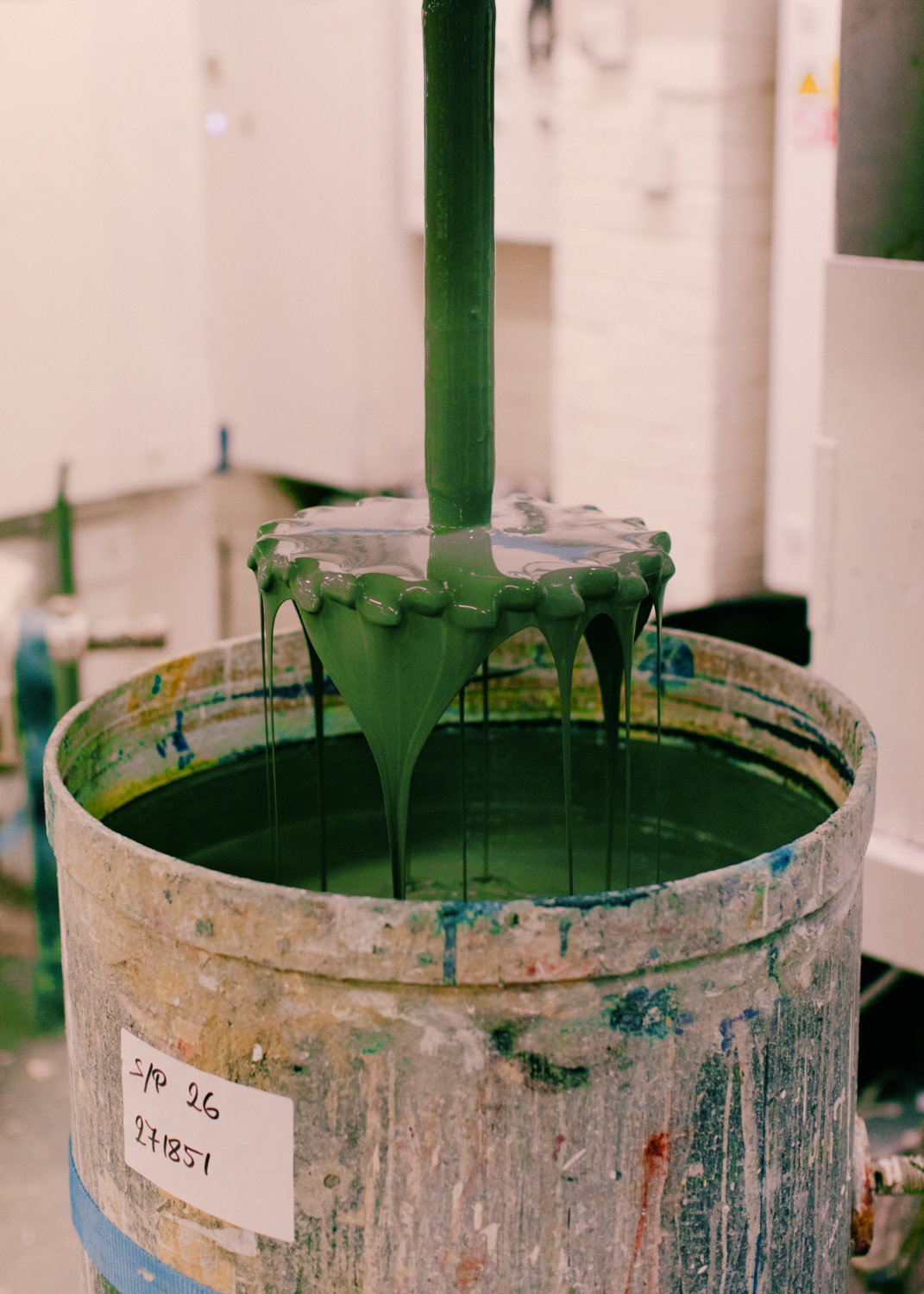 Evelyn Dragan Photography