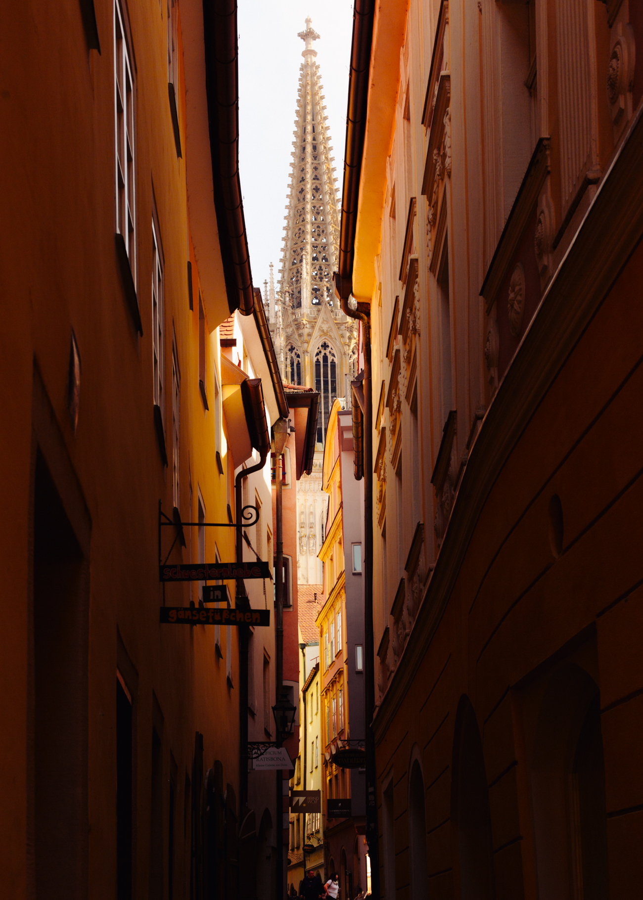Evelyn Dragan Photography