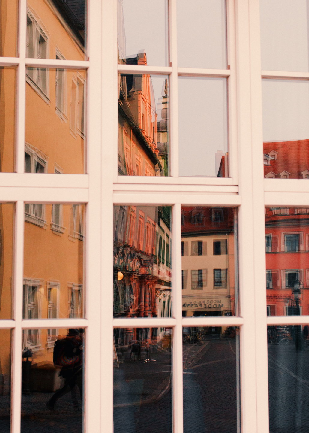 Evelyn Dragan Photography