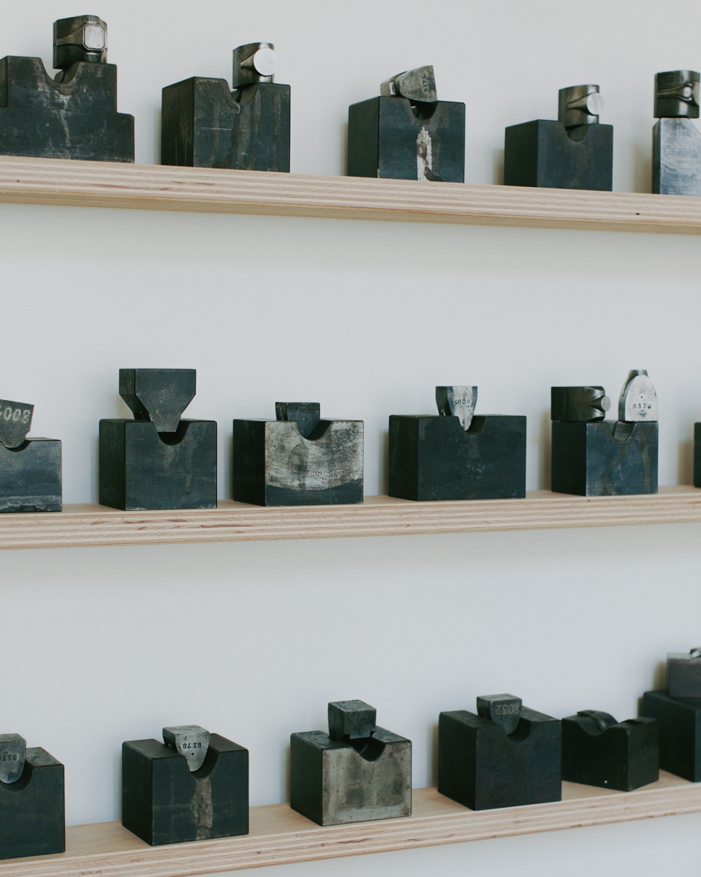 Evelyn Dragan Photography