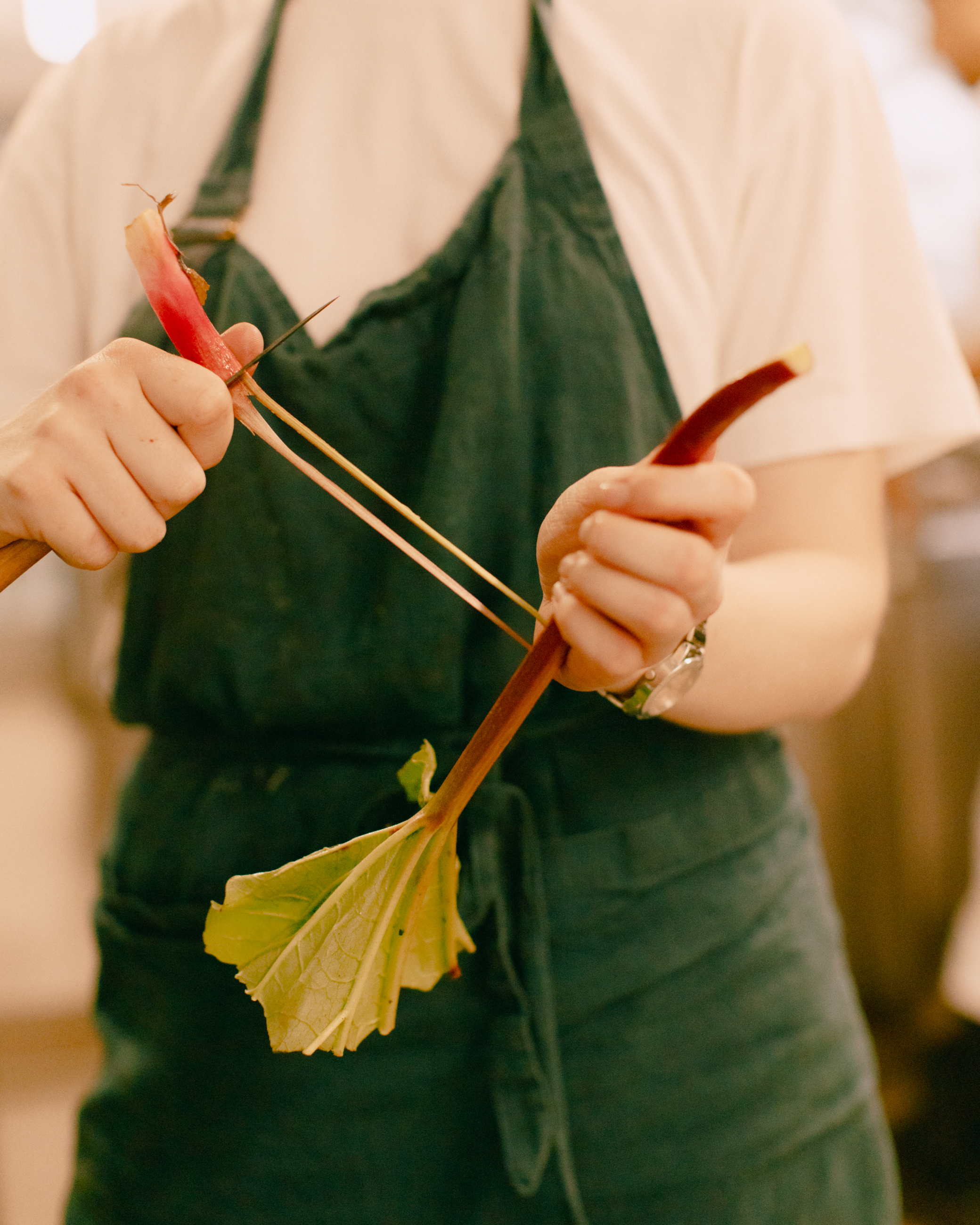 Evelyn Dragan Photography