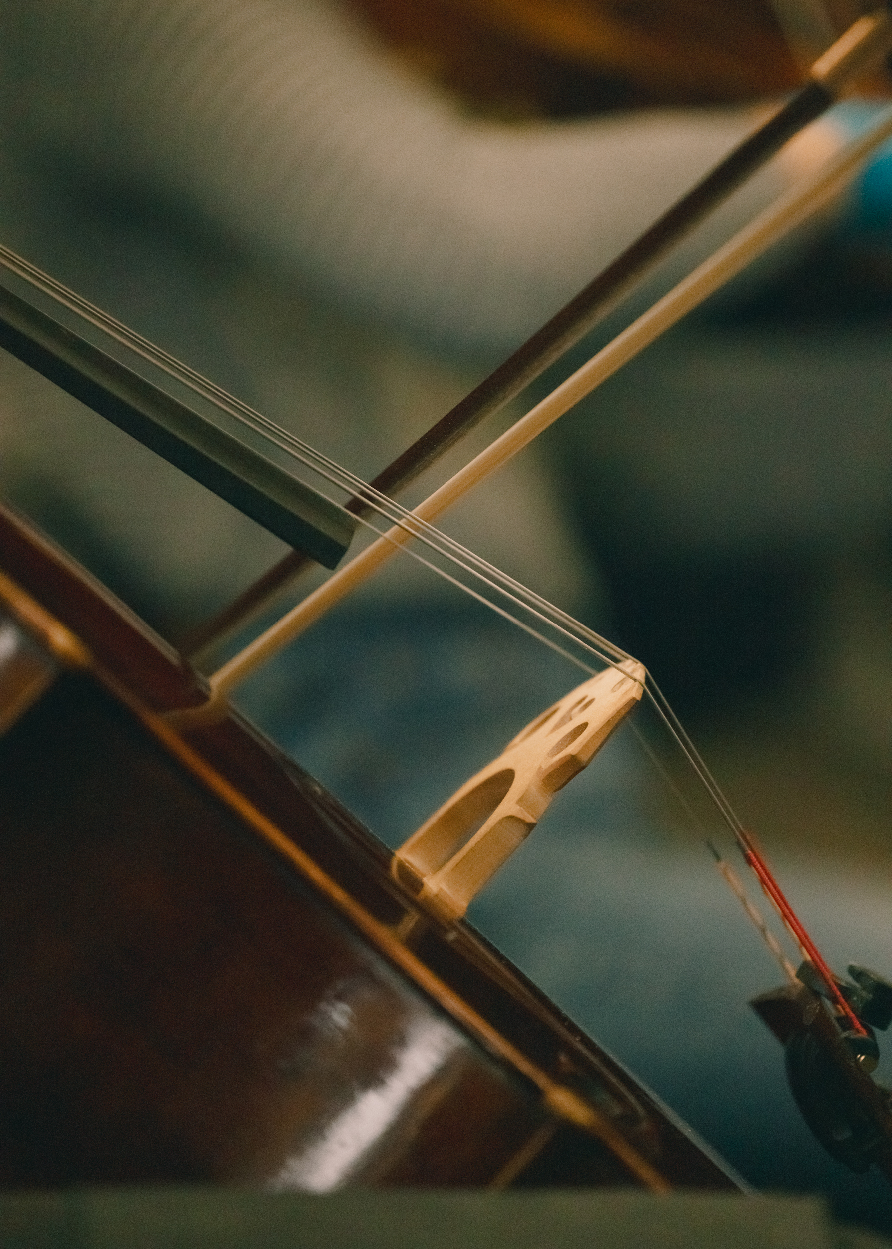 Evelyn Dragan Photography