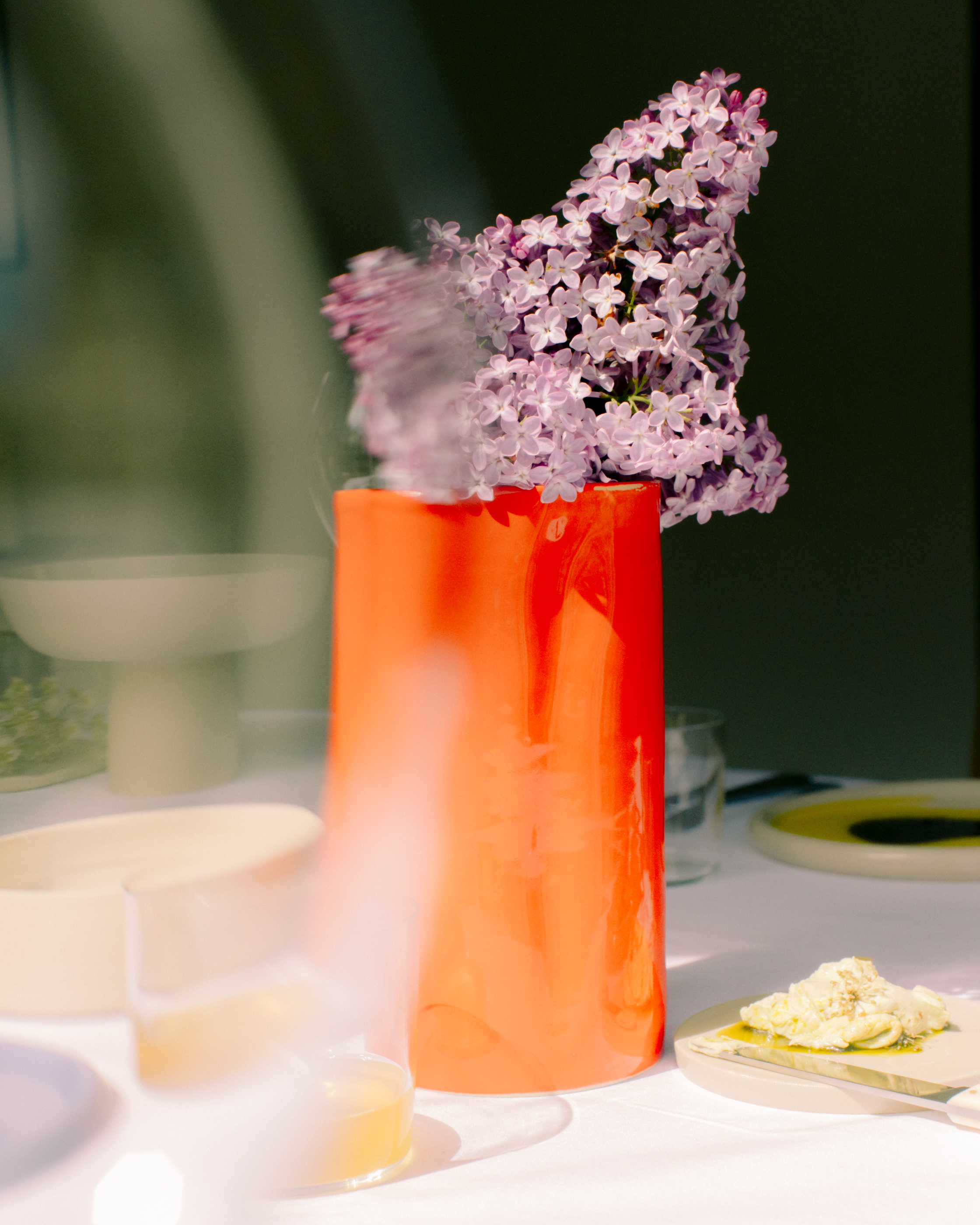 Evelyn Dragan Photography