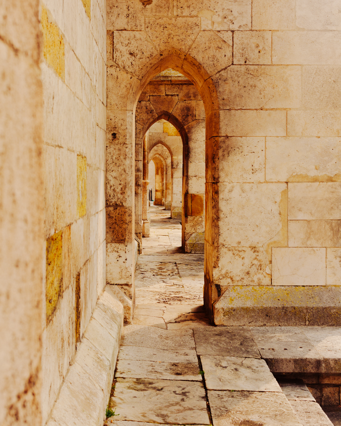 Evelyn Dragan Photography