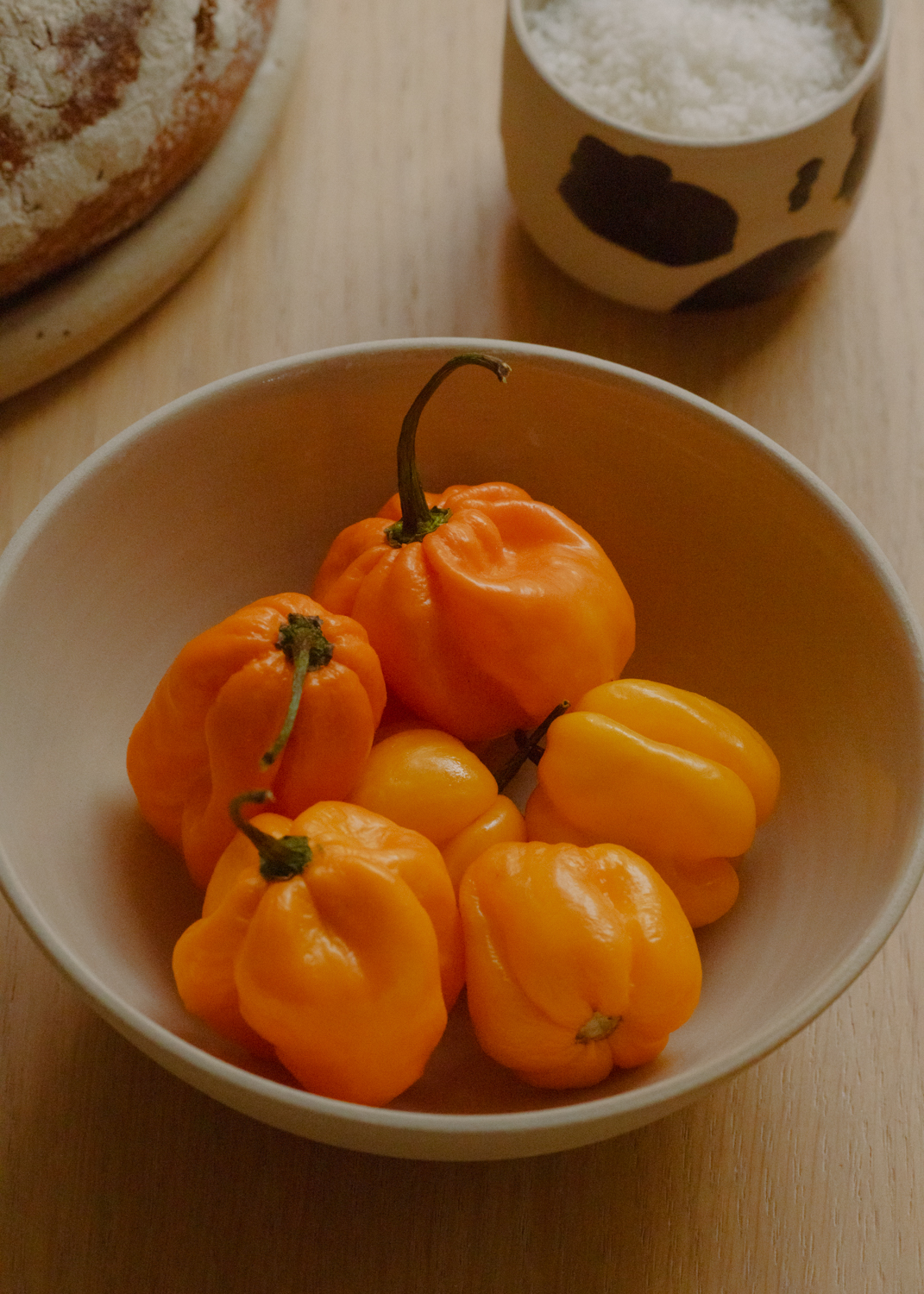 Evelyn Dragan Photography