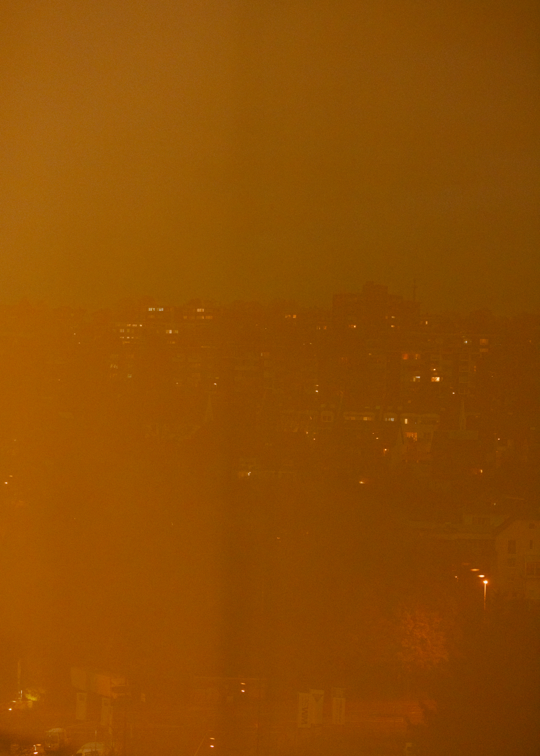 Evelyn Dragan Photography