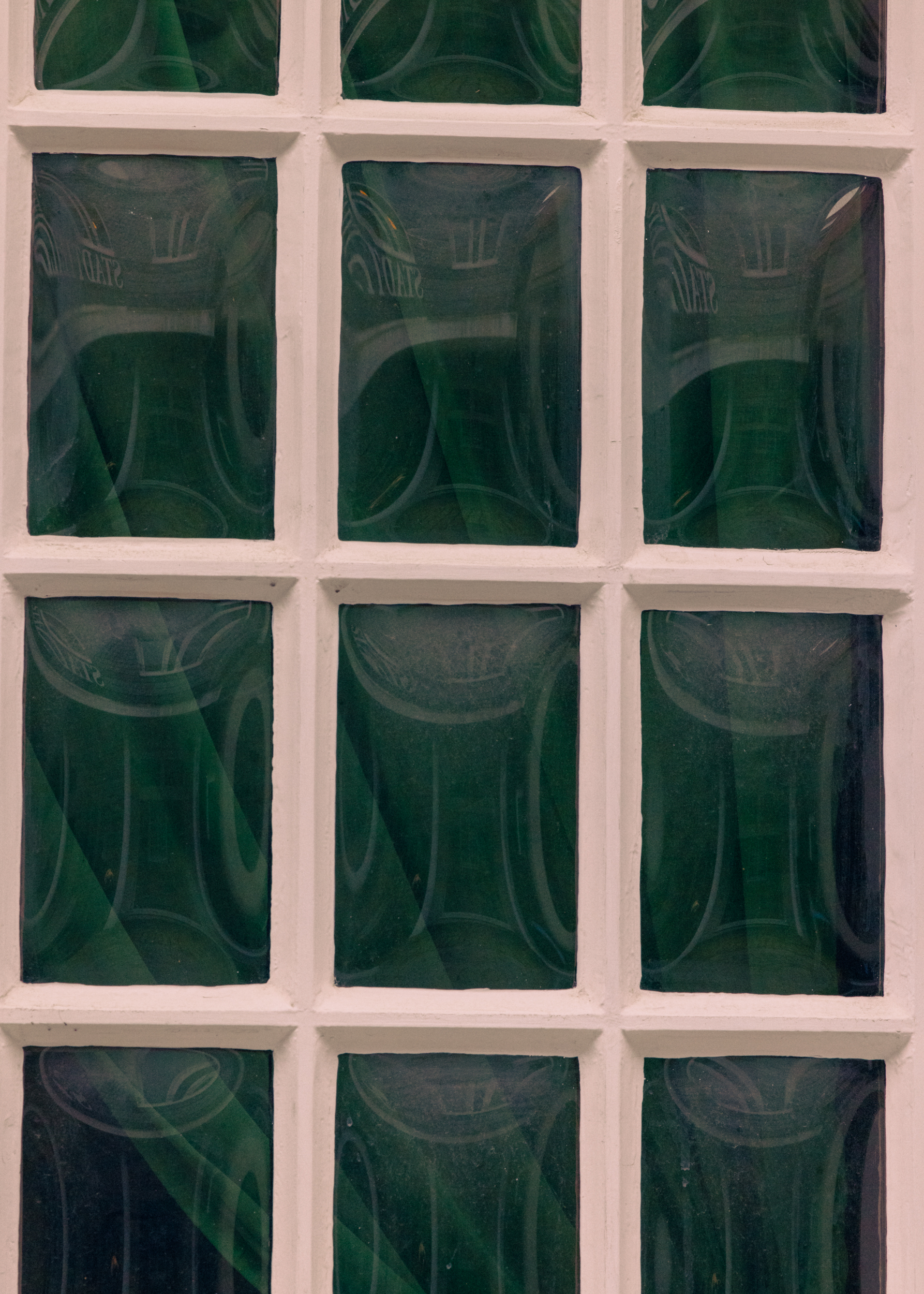 Evelyn Dragan Photography