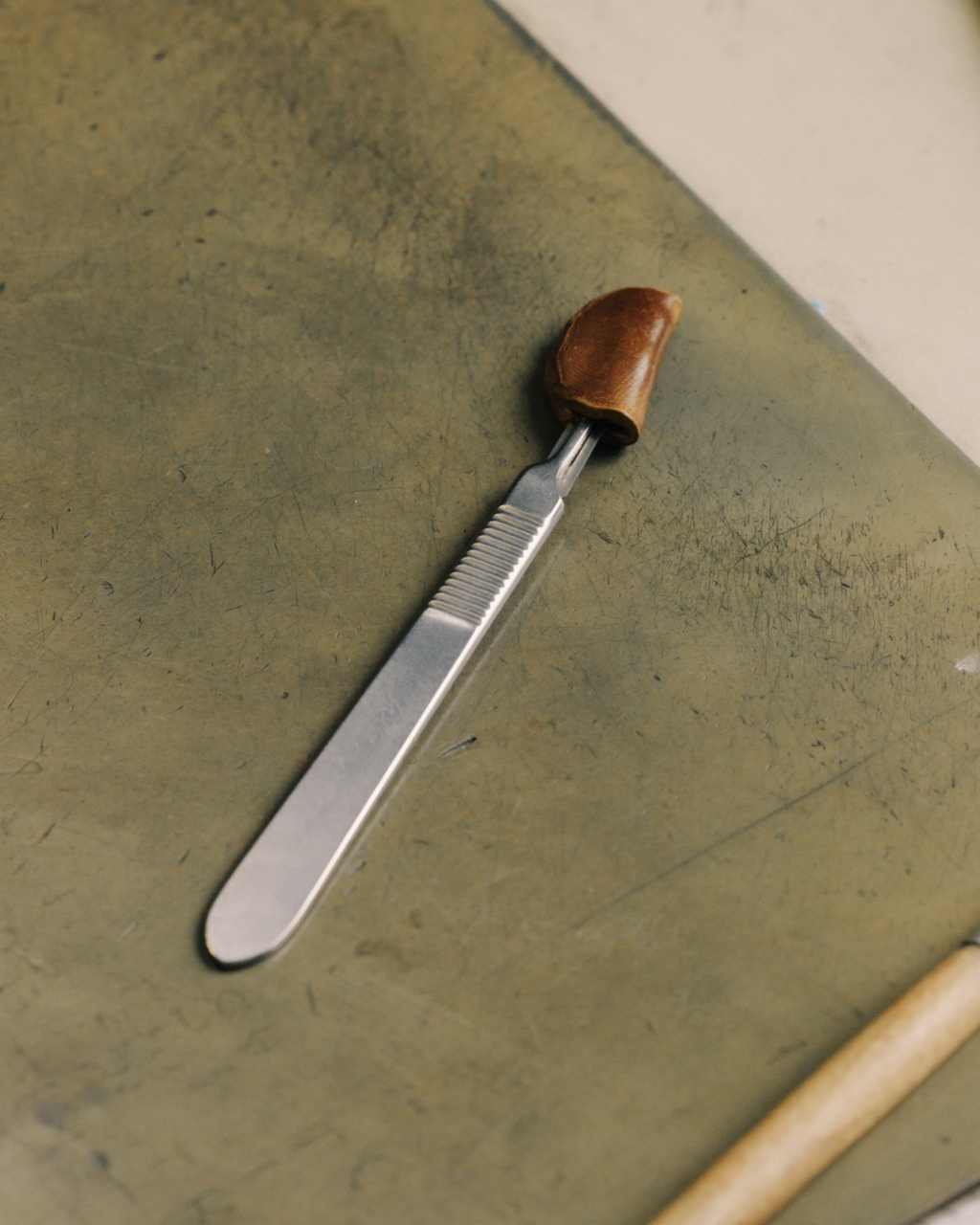 Evelyn Dragan Photography