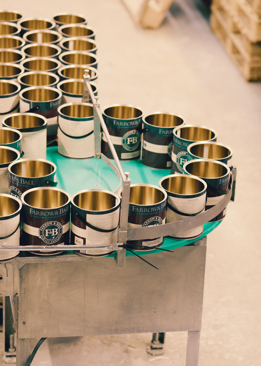 Evelyn Dragan Photography