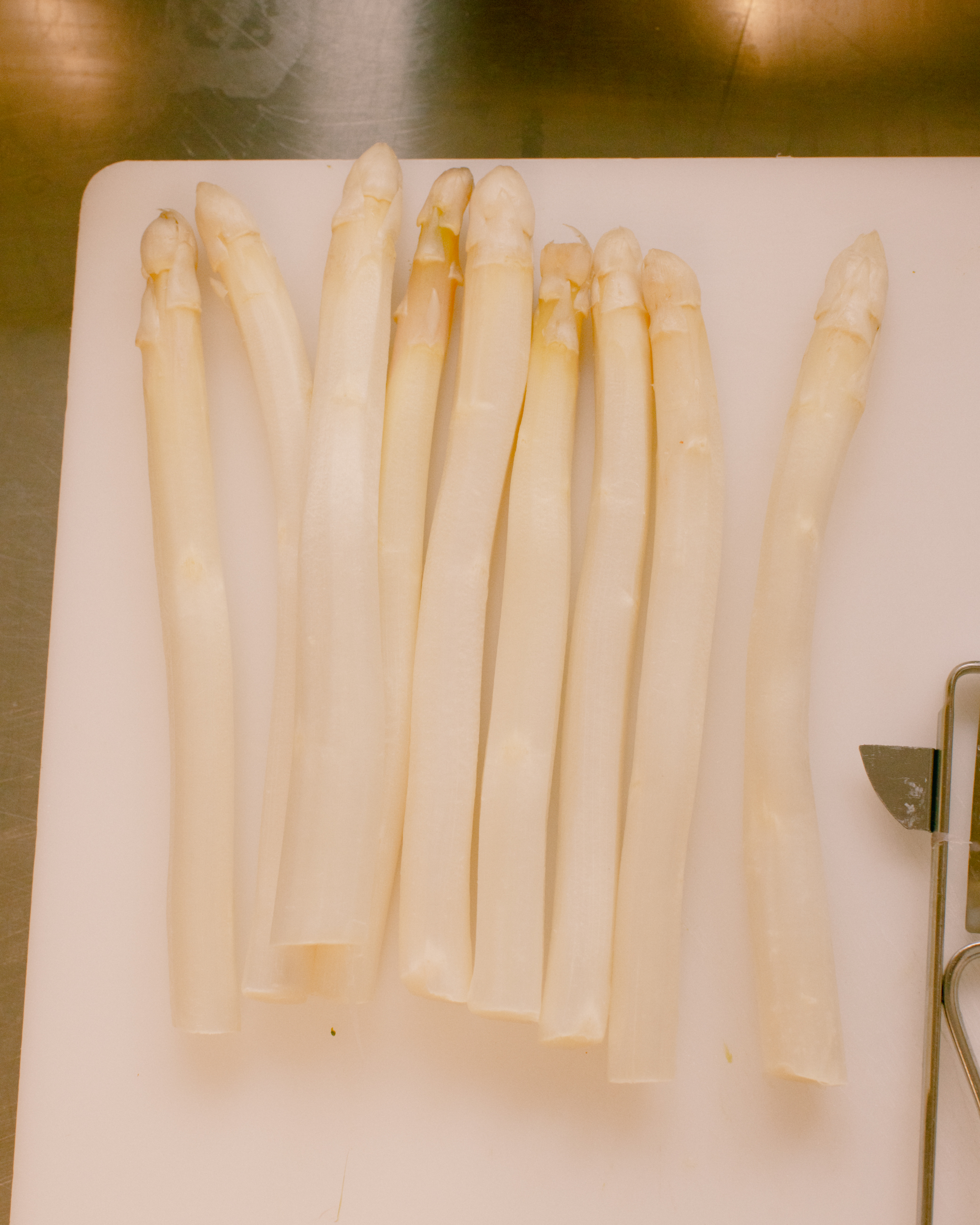 Evelyn Dragan Photography