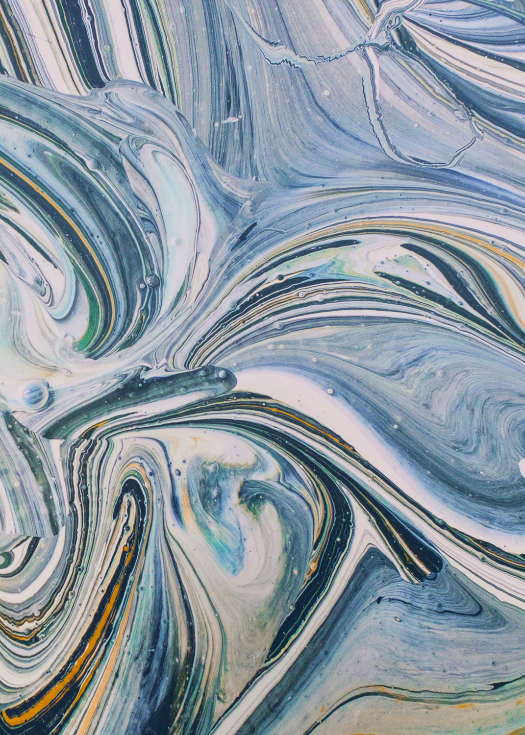 Evelyn Dragan Photography