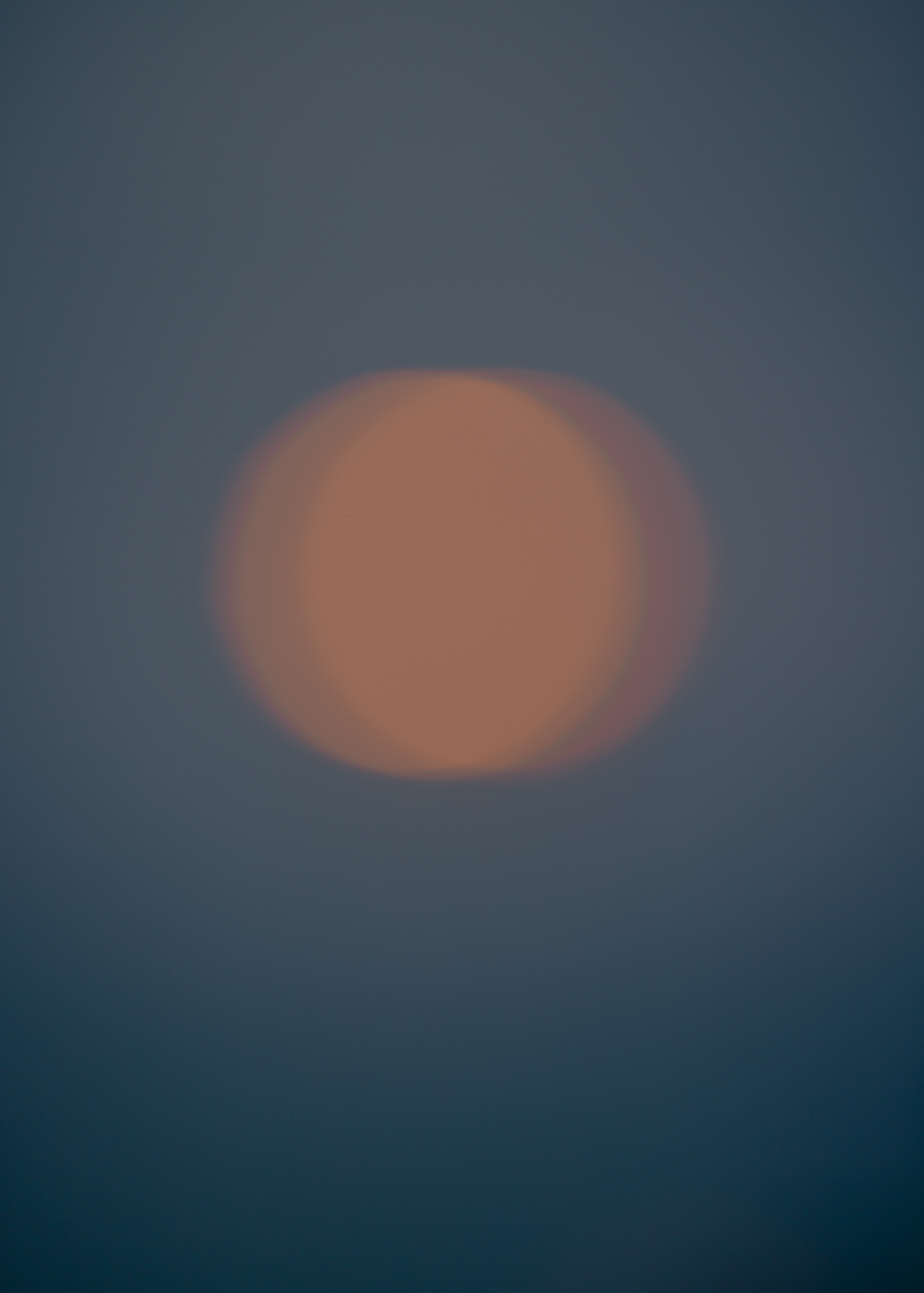 Evelyn Dragan Photography