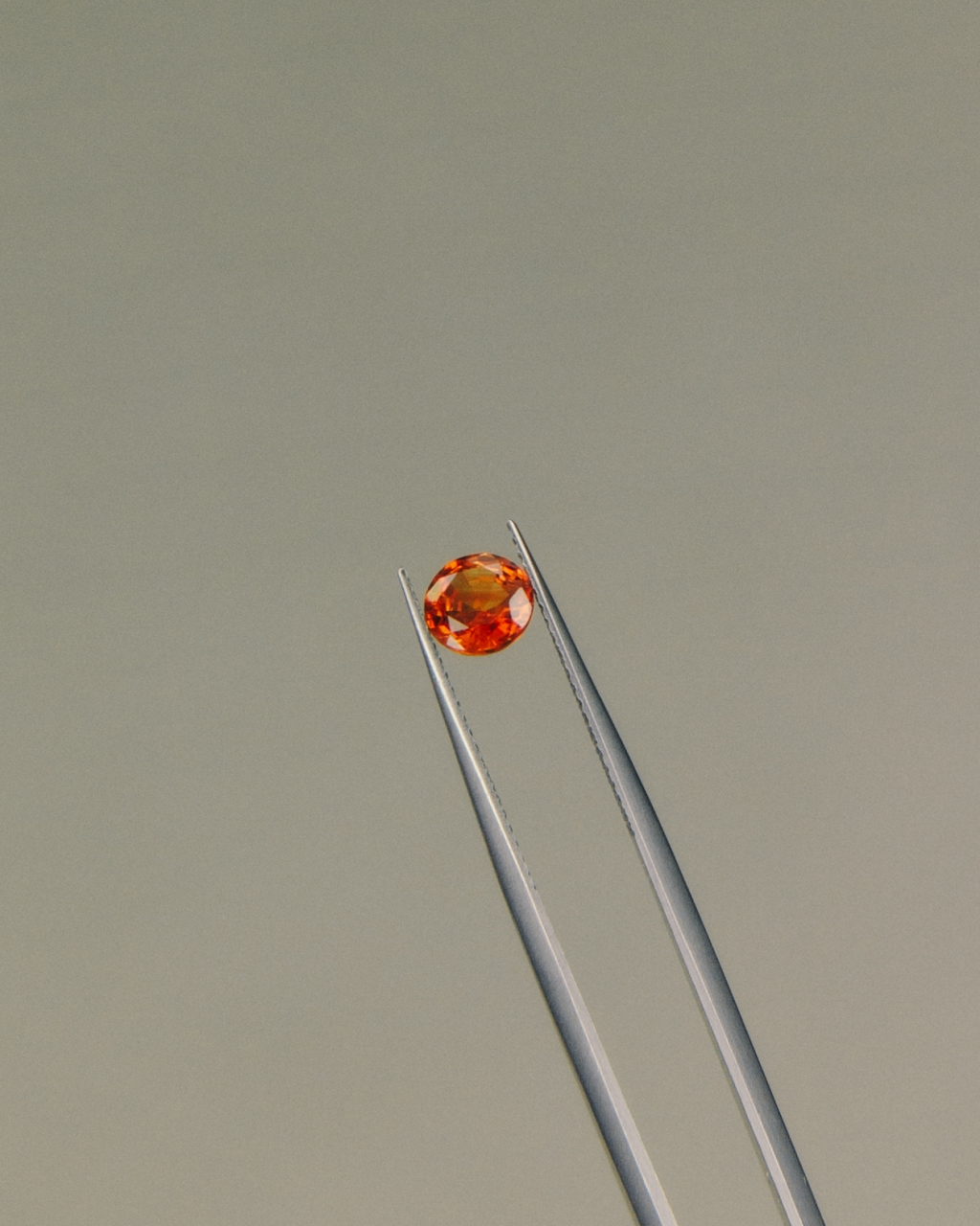 Evelyn Dragan Photography