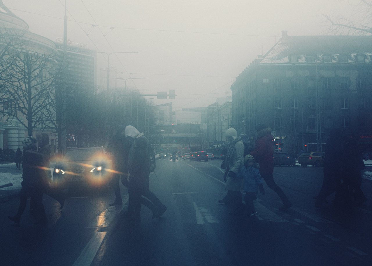 Evelyn Dragan Photography