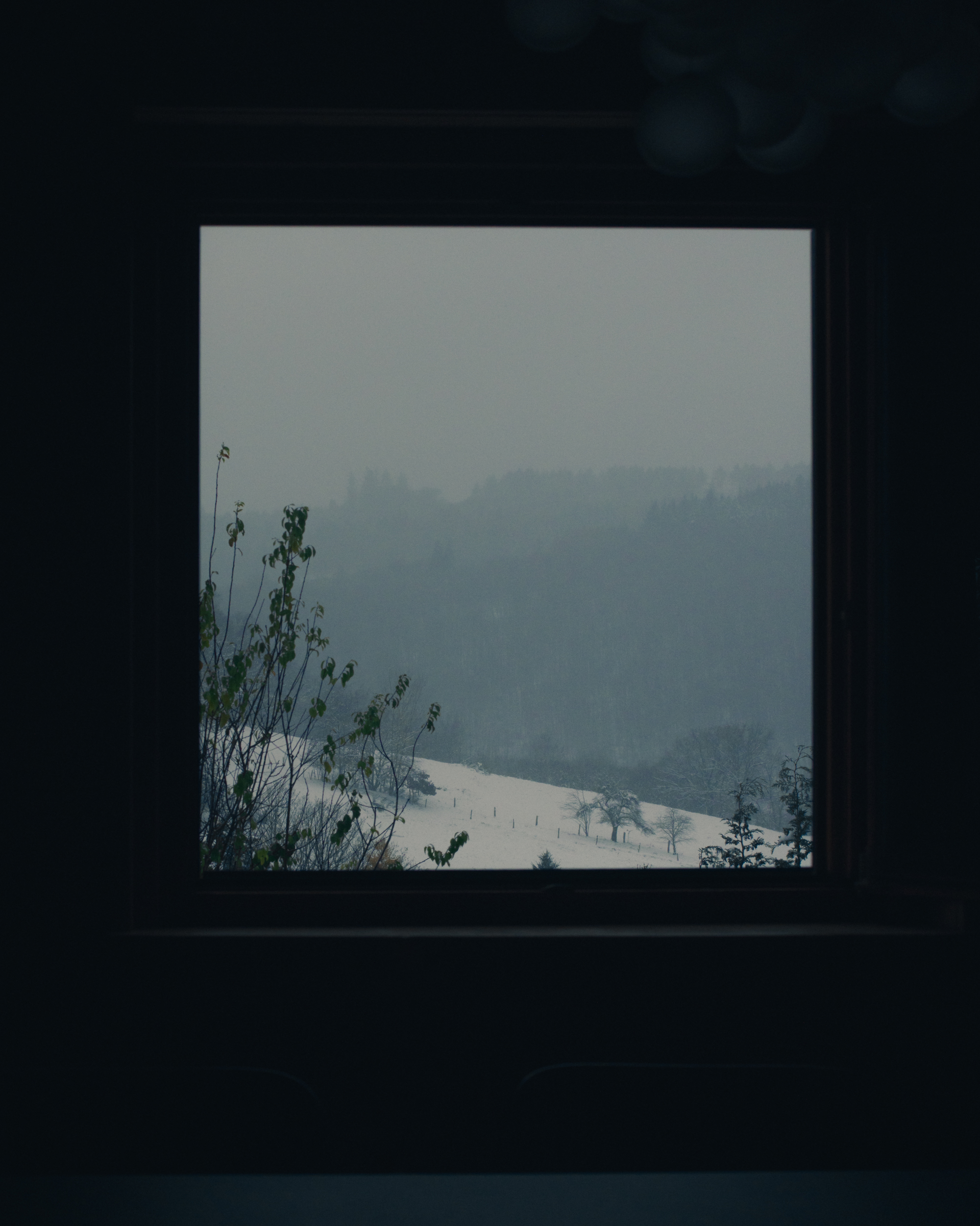 Evelyn Dragan Photography