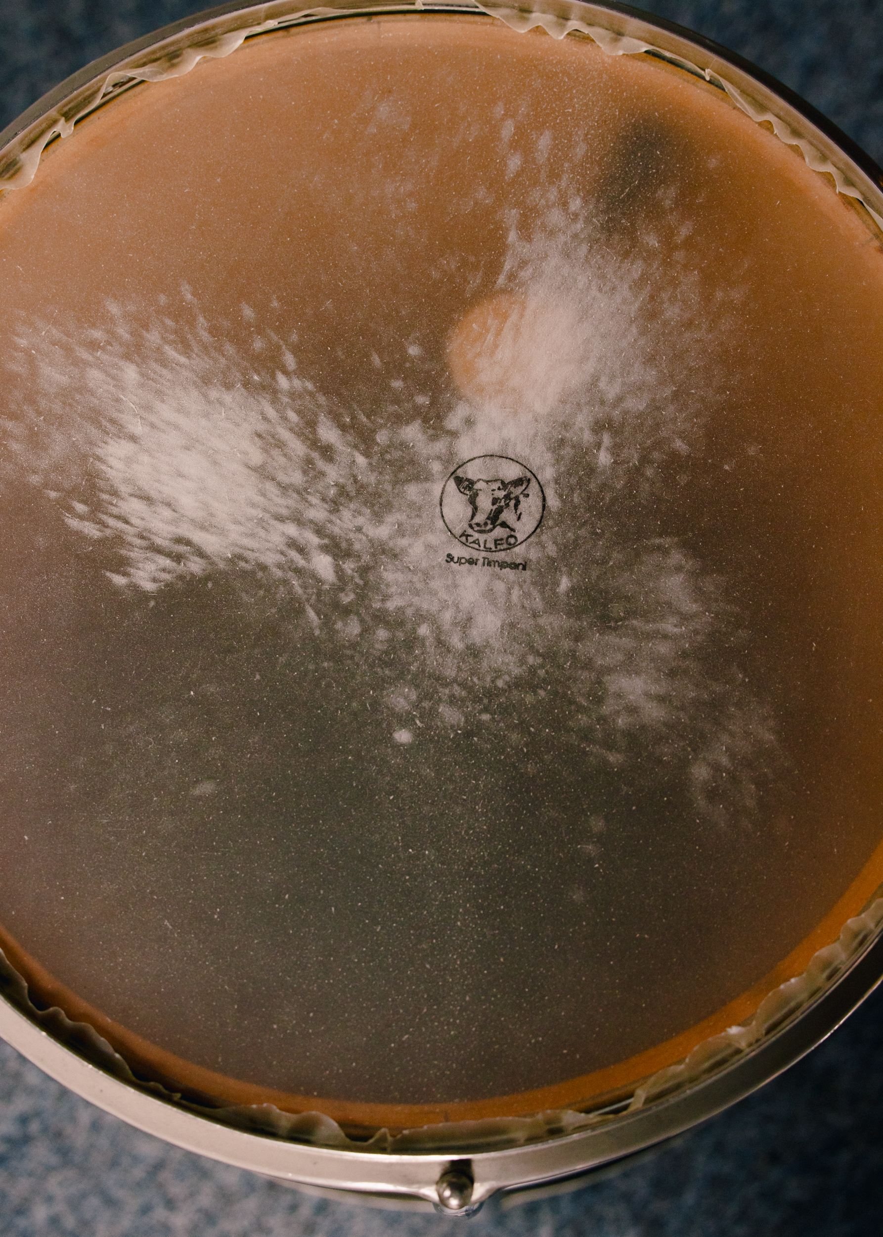 Evelyn Dragan Photography