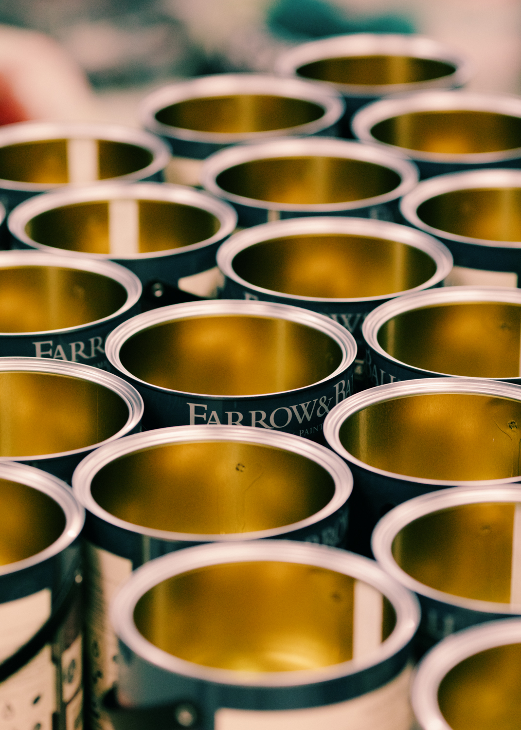 Evelyn Dragan Photography