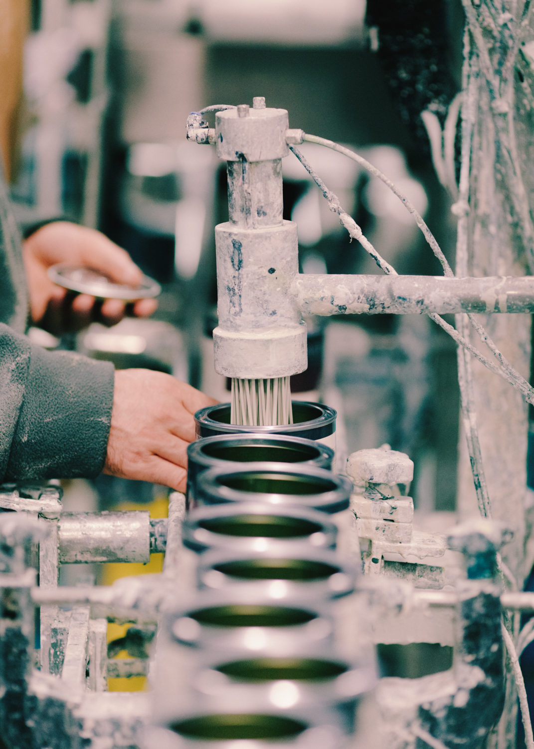 Evelyn Dragan Photography