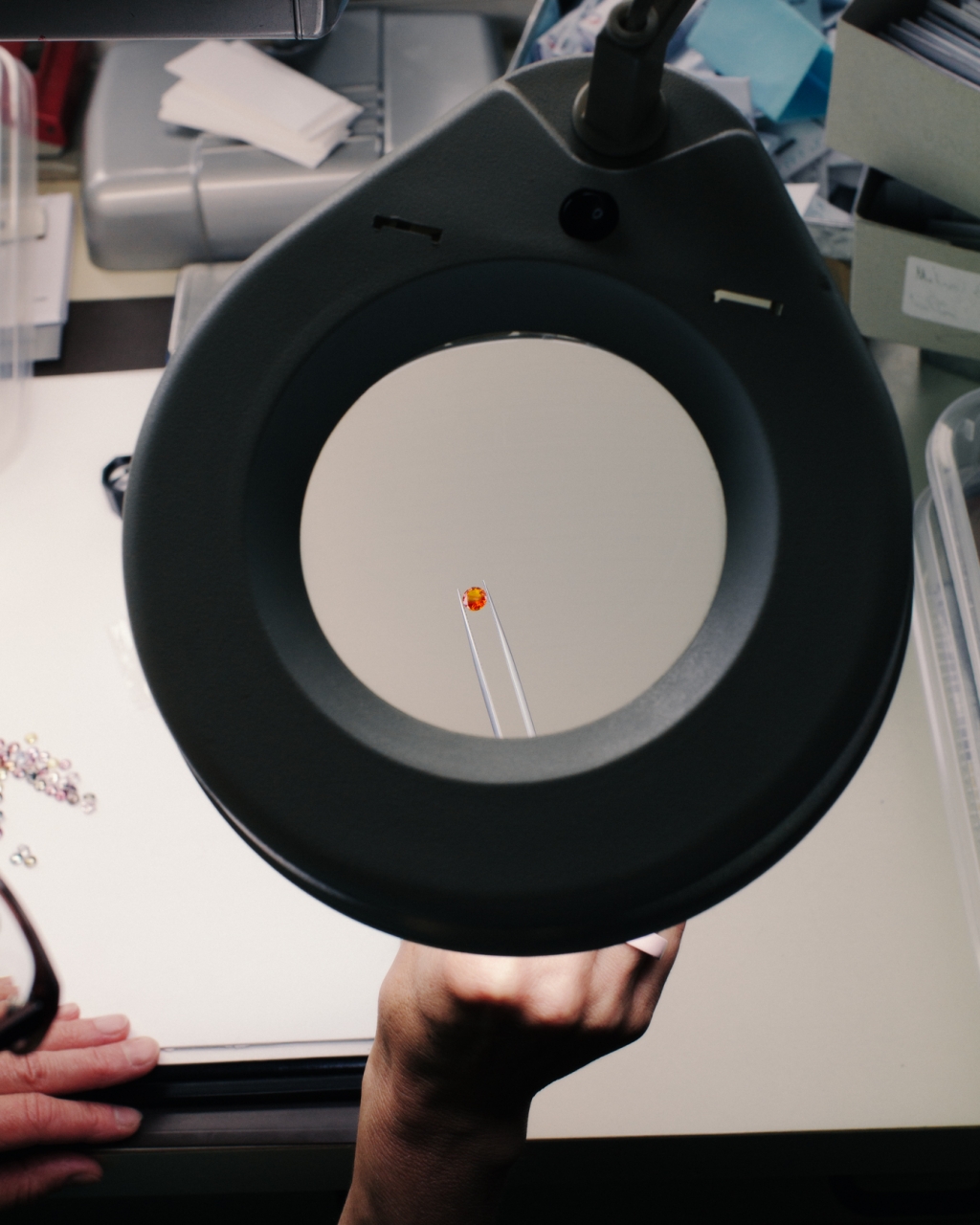 Evelyn Dragan Photography