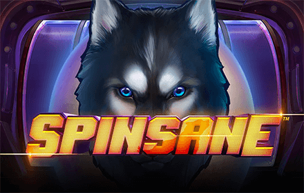 NETENT LANCIA LA NUOVA SPINSANE SLOT