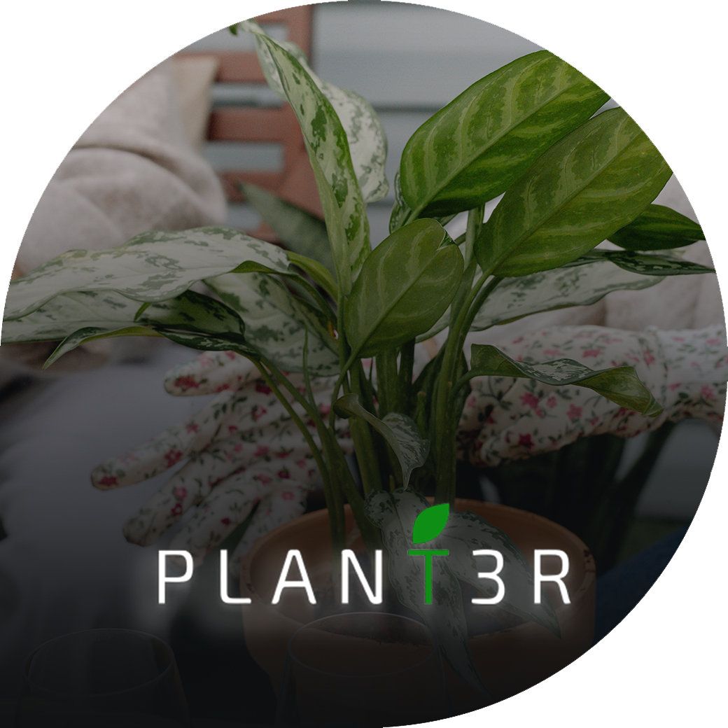 Plant3r