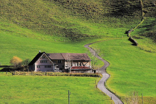 A wide-angle view of a New Zealand rural landscape with a farmhouse and fencing, representing FMG Insurance's roots as a mutual insurer founded in 1905 to serve Kiwi farmers and rural communities.