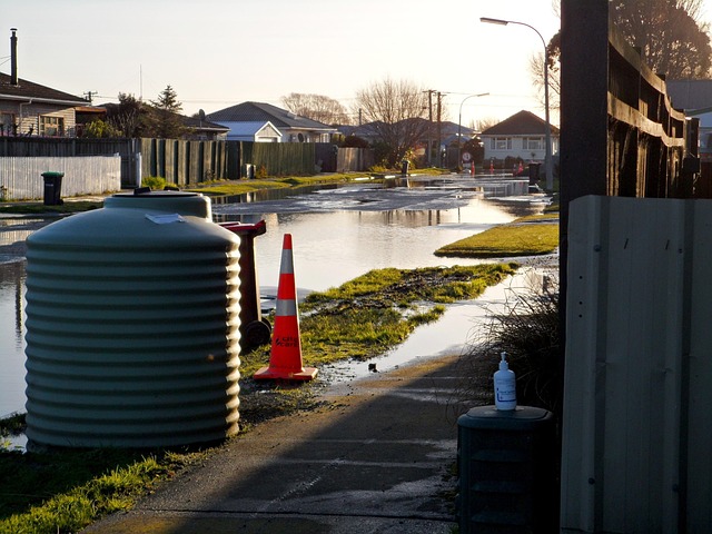 Storm damage in New Zealand. 