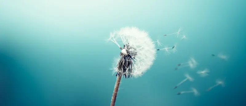 life insurance mistakes