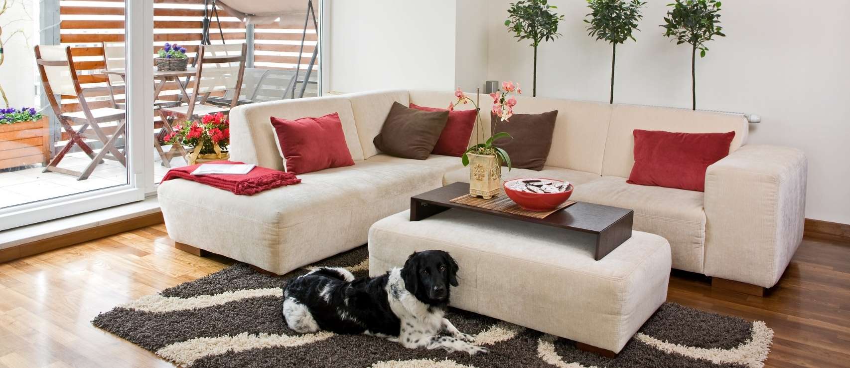 Living room decor representing contents that require insurance featured in a Quashed 2026 guide.