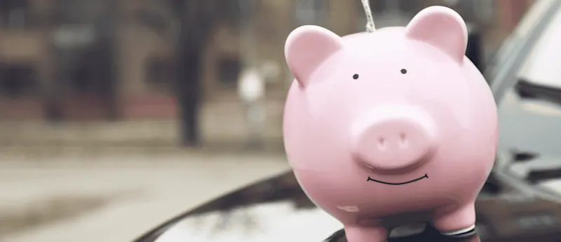 A pink piggy bank.
