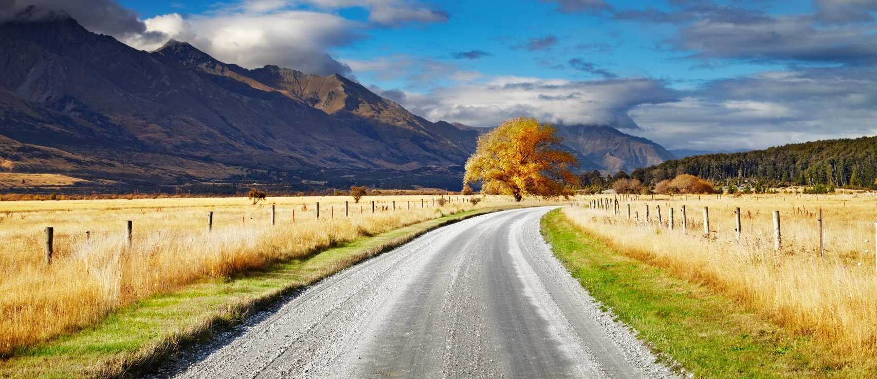 New Zealand open road and car insurance decision-making with Quashed comparison platform 2026.