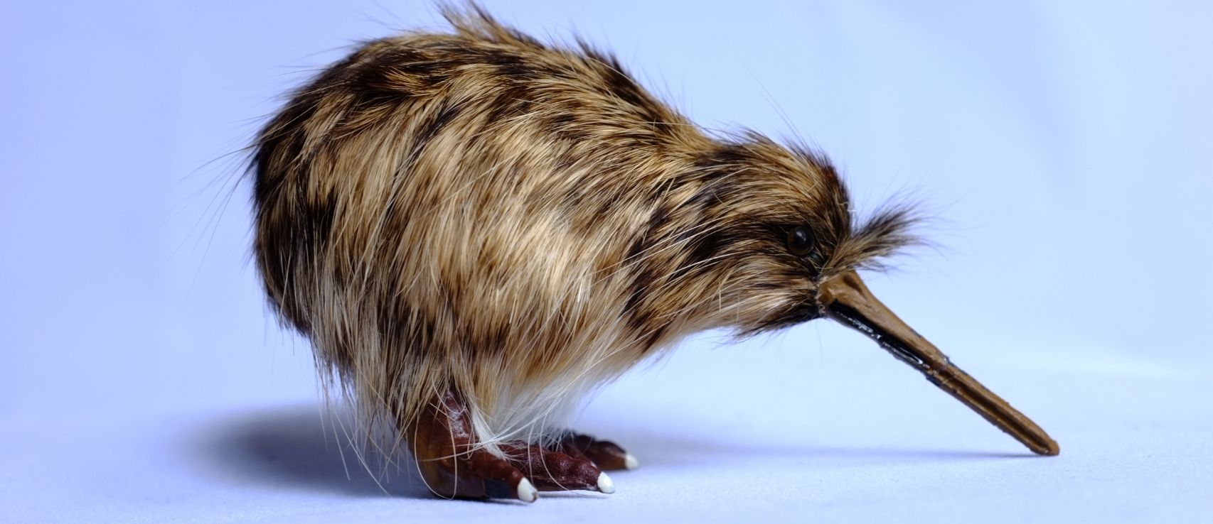 KiwiSaver and Insurance