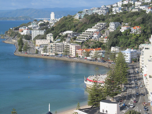 A view of Wellington showing residential housing, representing the importance of financial strength ratings for insurers like Vero Insurance New Zealand that underwrite significant Wellington earthquake risk.