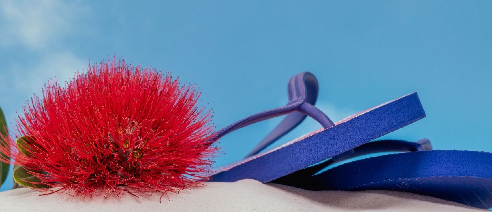 Protect Your Belongings This Christmas – No Worries, No Stress