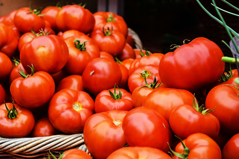  tomatoes from morocco
