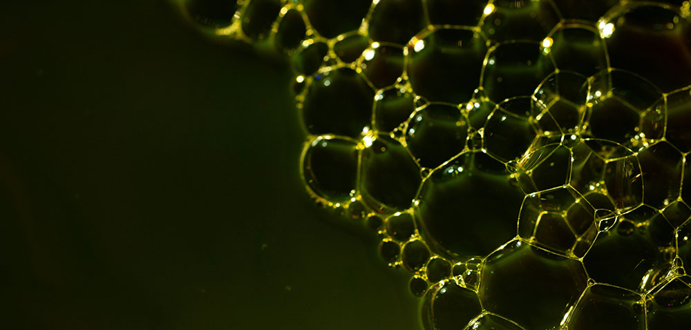 organic chemicals switzerland 