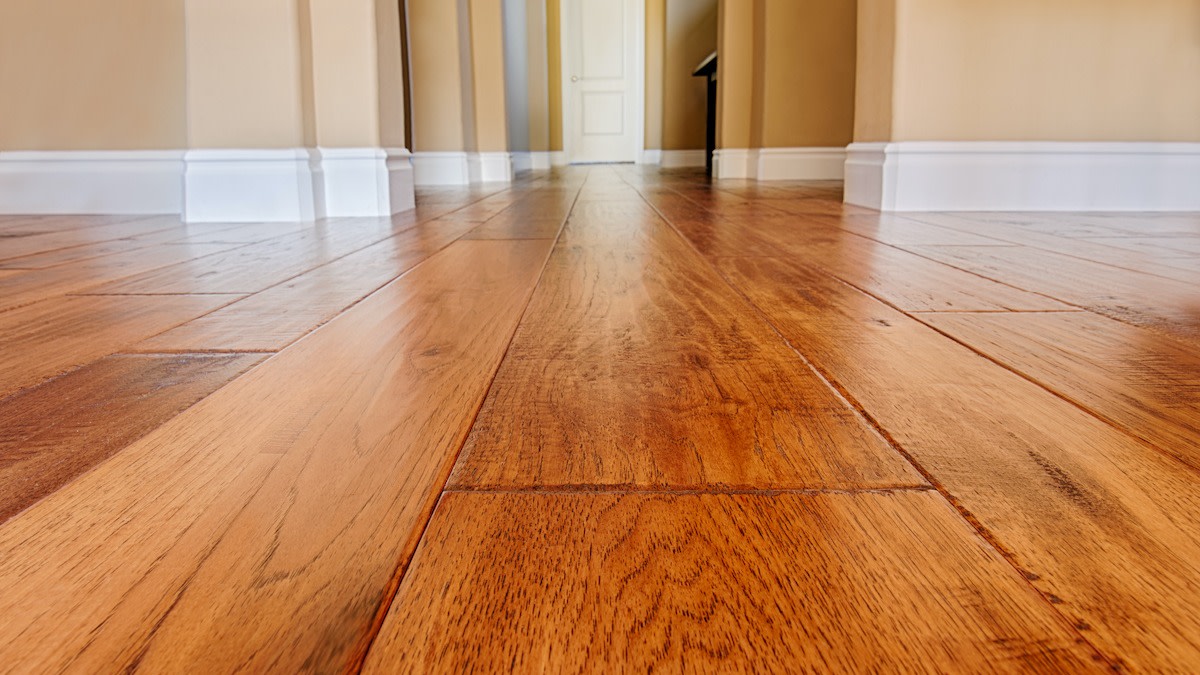 11 Types of Hardwood Different Wood Species and Uses 2021 MasterClass